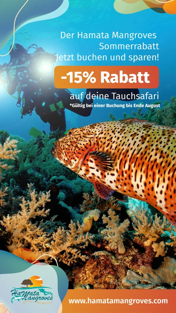Werbung mit Unterwassermotiv für Tauchsafaris von Hamata Mangroves